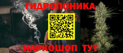 spice Кунгур