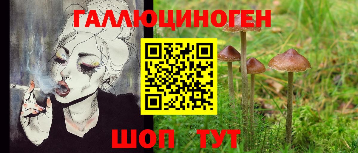 Гусь-Хрустальный  Псилоцибиновые грибы мицелий  Вход с VPN 